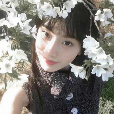 泡芙小姐第四季